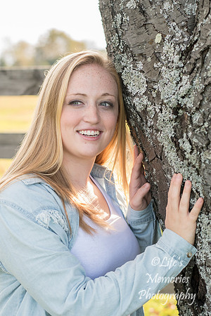 Laken (90)
