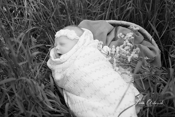 Chloe Shea (33)