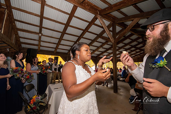 Reception (81)