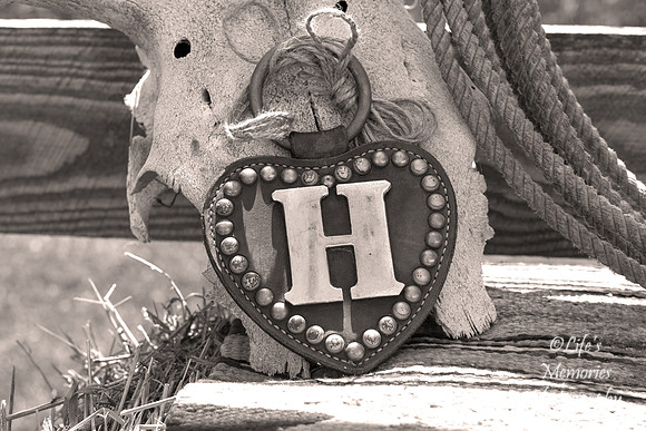 PrepBlackWhiteSepia9