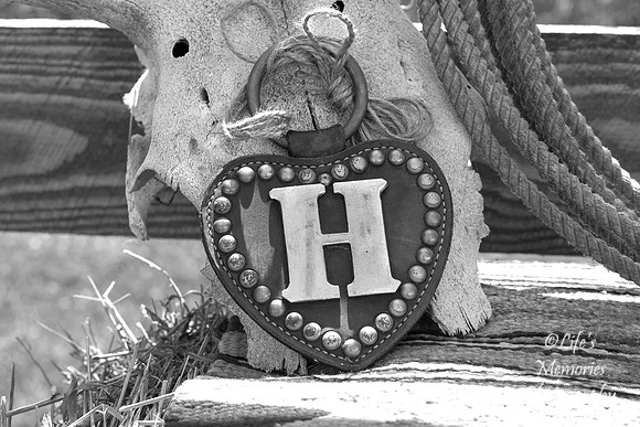 PrepBlackWhiteSepia2