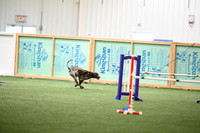 LMP_9446