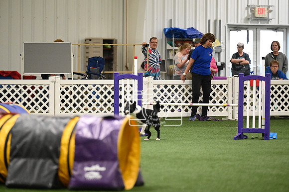 LMP_6712