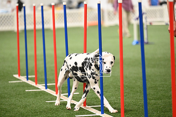 LMP_9487