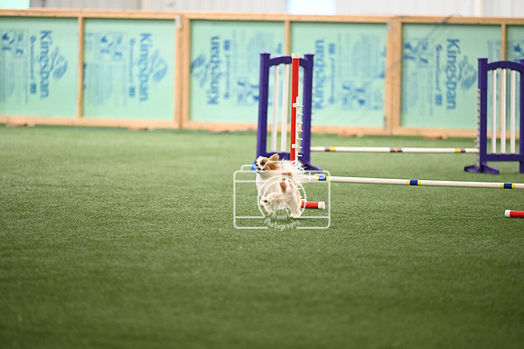 LMP_9044