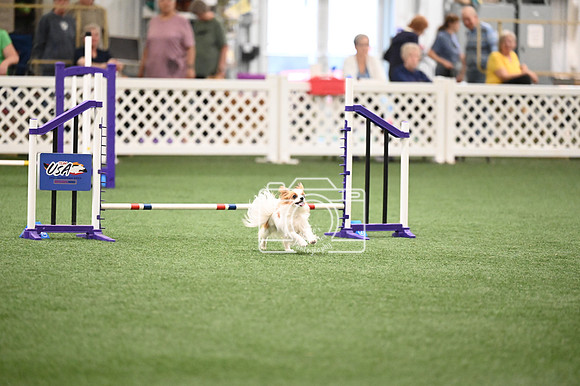 LMP_9046