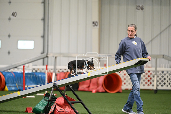 LMP_9373