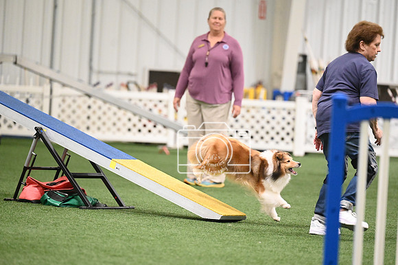 LMP_7546