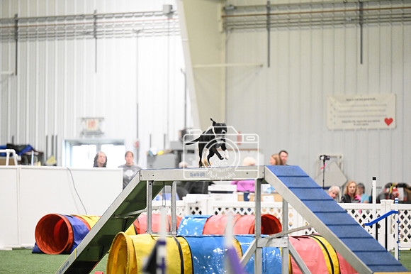 LMP_1896