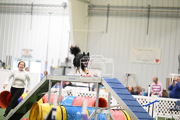 LMP_2098