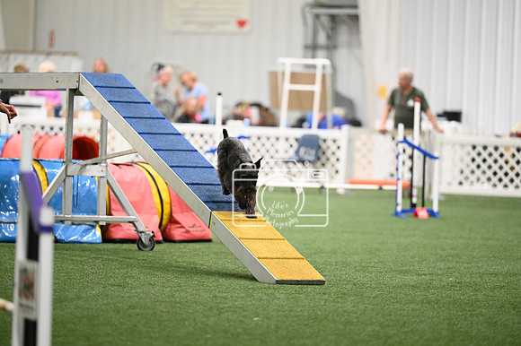 LMP_1933