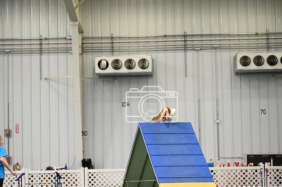 LMP_4779