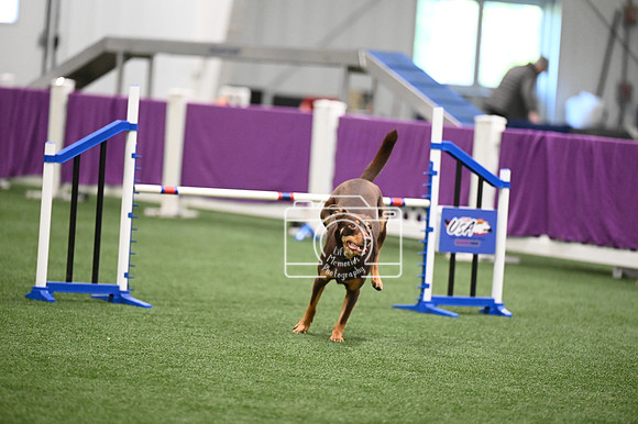 LMP_4979