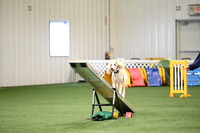Novice Standard