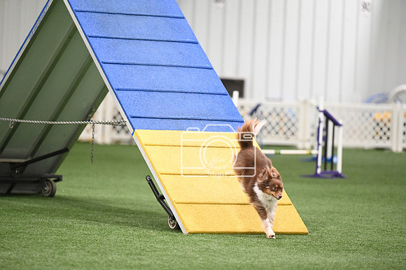 LMP_2376