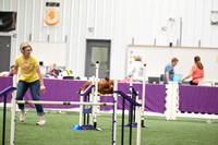 Open Novice FAST