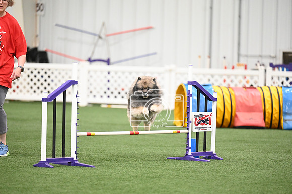 LMP_8165