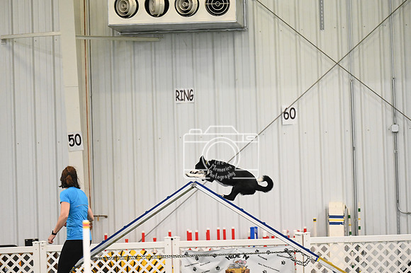 LMP_6055