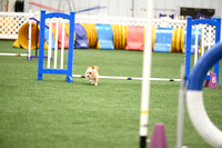 LMP_0467