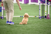Jumpers - 1 2