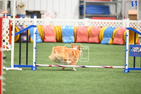 LMP_9181