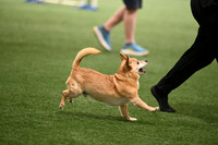 LMP_7759