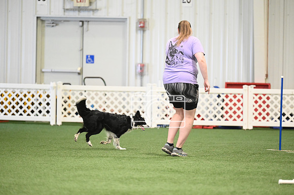 LMP_9803