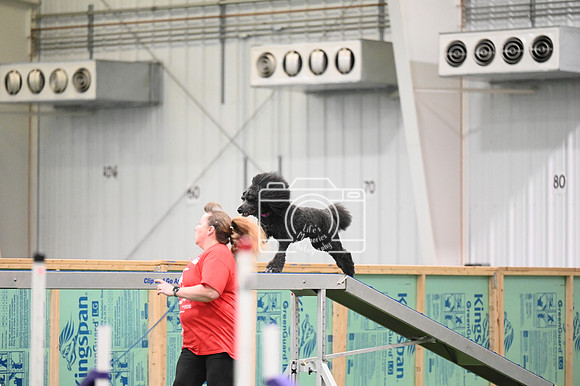 LMP_6864