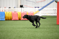 LMP_7044
