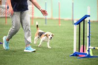 LMP_5628