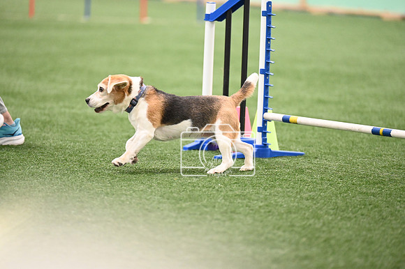 LMP_5632