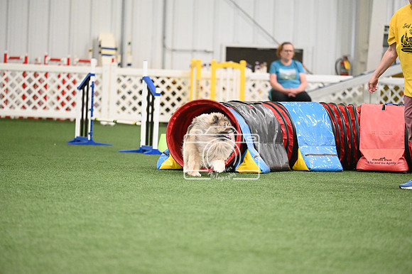 LMP_5420