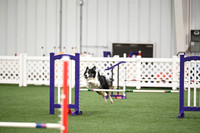 Excellent Master Jumpers - 16