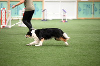 Excellent Master Jumpers - 20 & 24