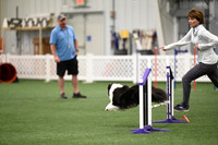 Excellent Master Jumpers - 12