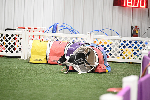 LMP_8689