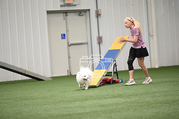 LMP_1398