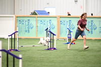 Novice Jumpers