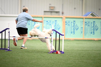 Excellent Master Jumpers - 20 & 24