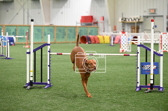 LMP_4440