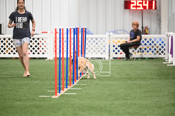 LMP_5028