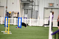 Excellent Master Jumpers - 12