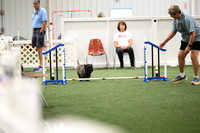 Excellent Master Jumpers - 4 & 8