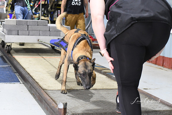 DSC_0725