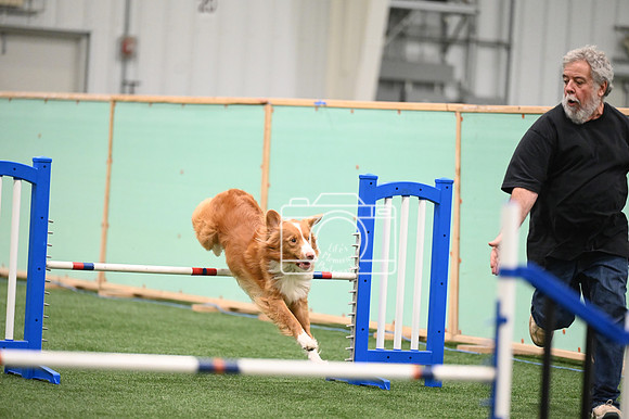 LMP_6980