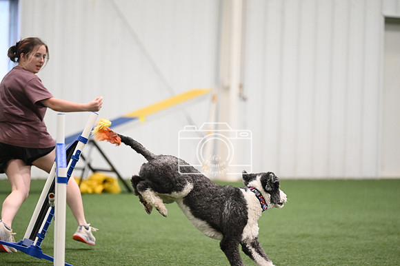 LMP_6991