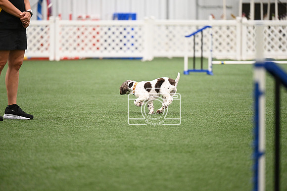 LMP_7902