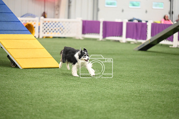 LMP_7271