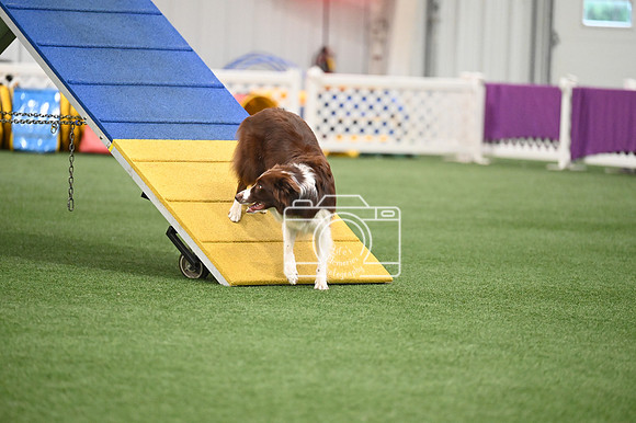 LMP_7497
