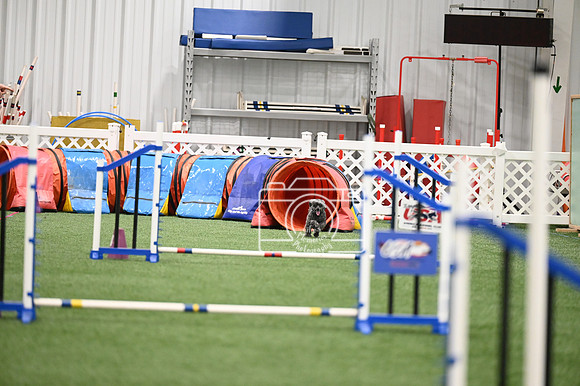 LMP_8691